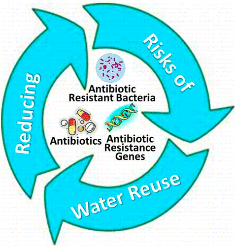 A figure displaying the interactions of antibiotic resistance and water use