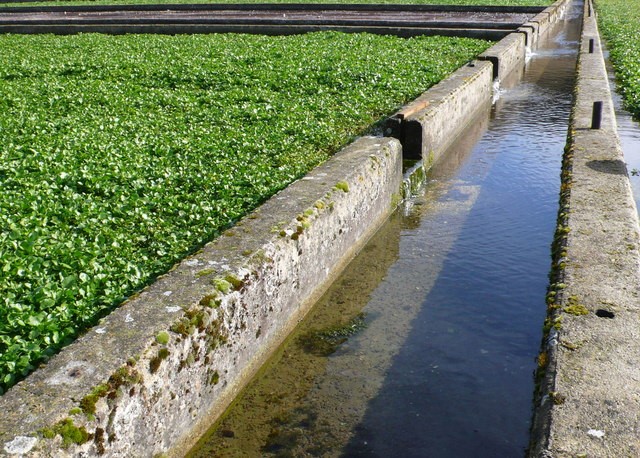 Drainage canal next to crops