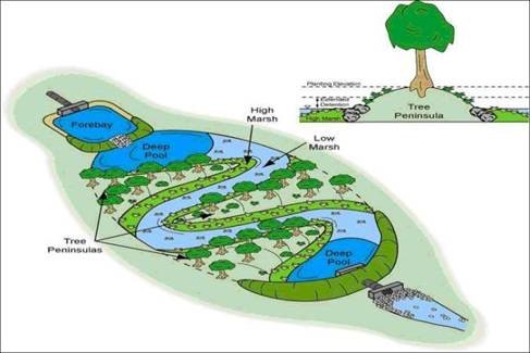 Diagram of a constructed wetland