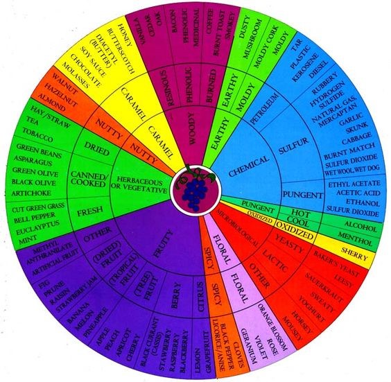 The Davis wine aroma wheel