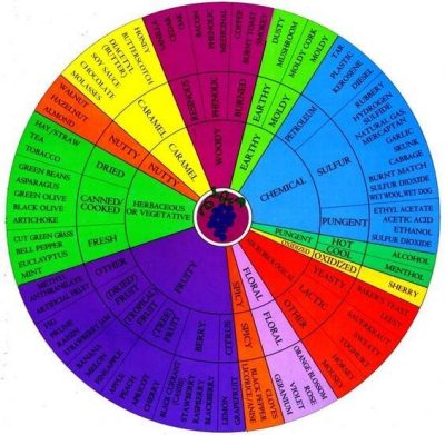 Wine flavor wheel