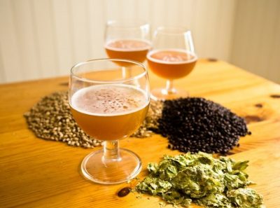 Three different alcoholic drinks surrounded by different brew materials