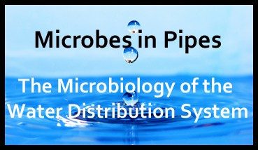 A picture of a water surface with the text "Microbes in Pipes: The Microbiology of the Water Distribution System" written across it